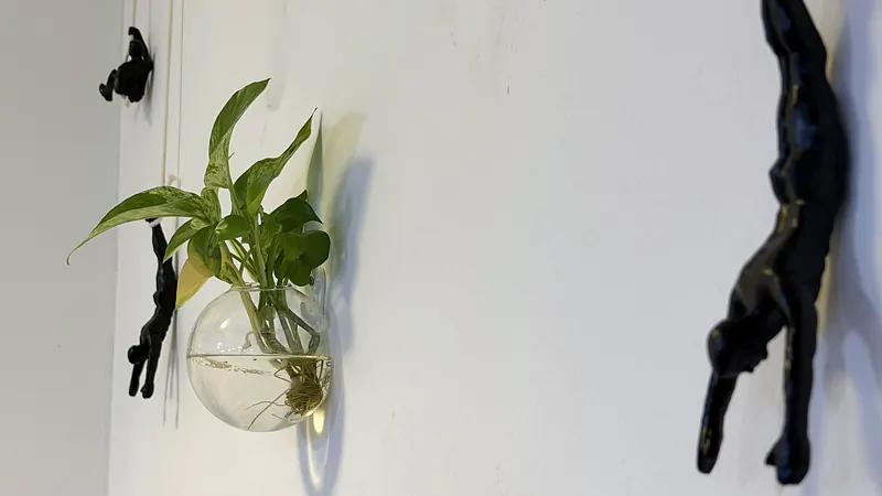 Climbing figure and plant on the wall at Webzenz