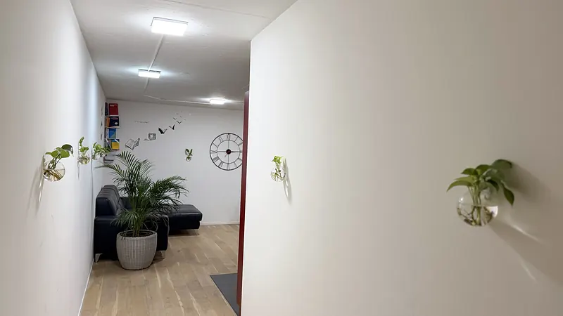 Entrance and hallway of the Webzenz office with plants