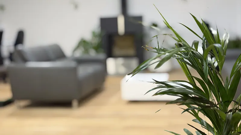 Lounge with sofa in the Webzenz office