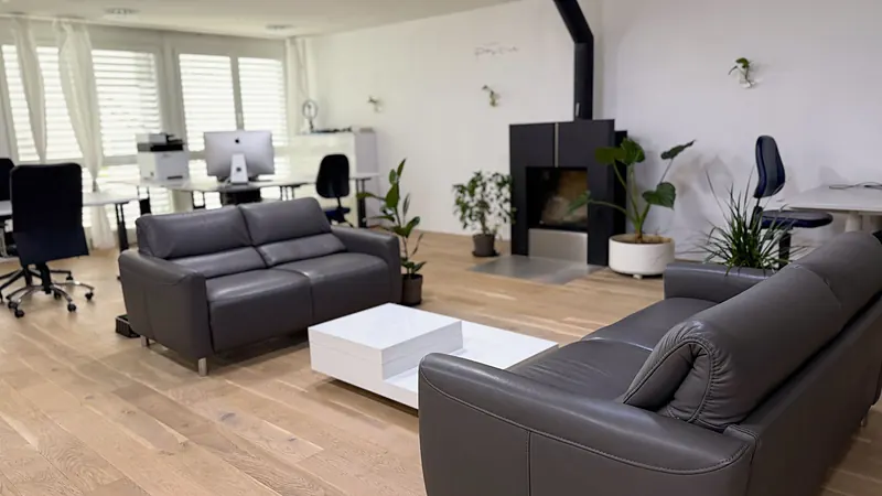Sofas and workstations in the bright Webzenz office