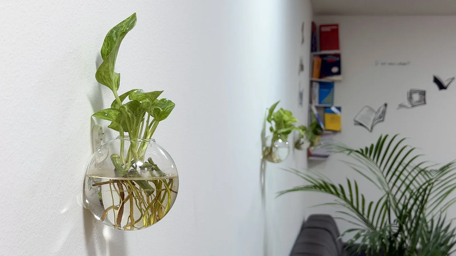 Wall with plants and bookshelf at Webzenz