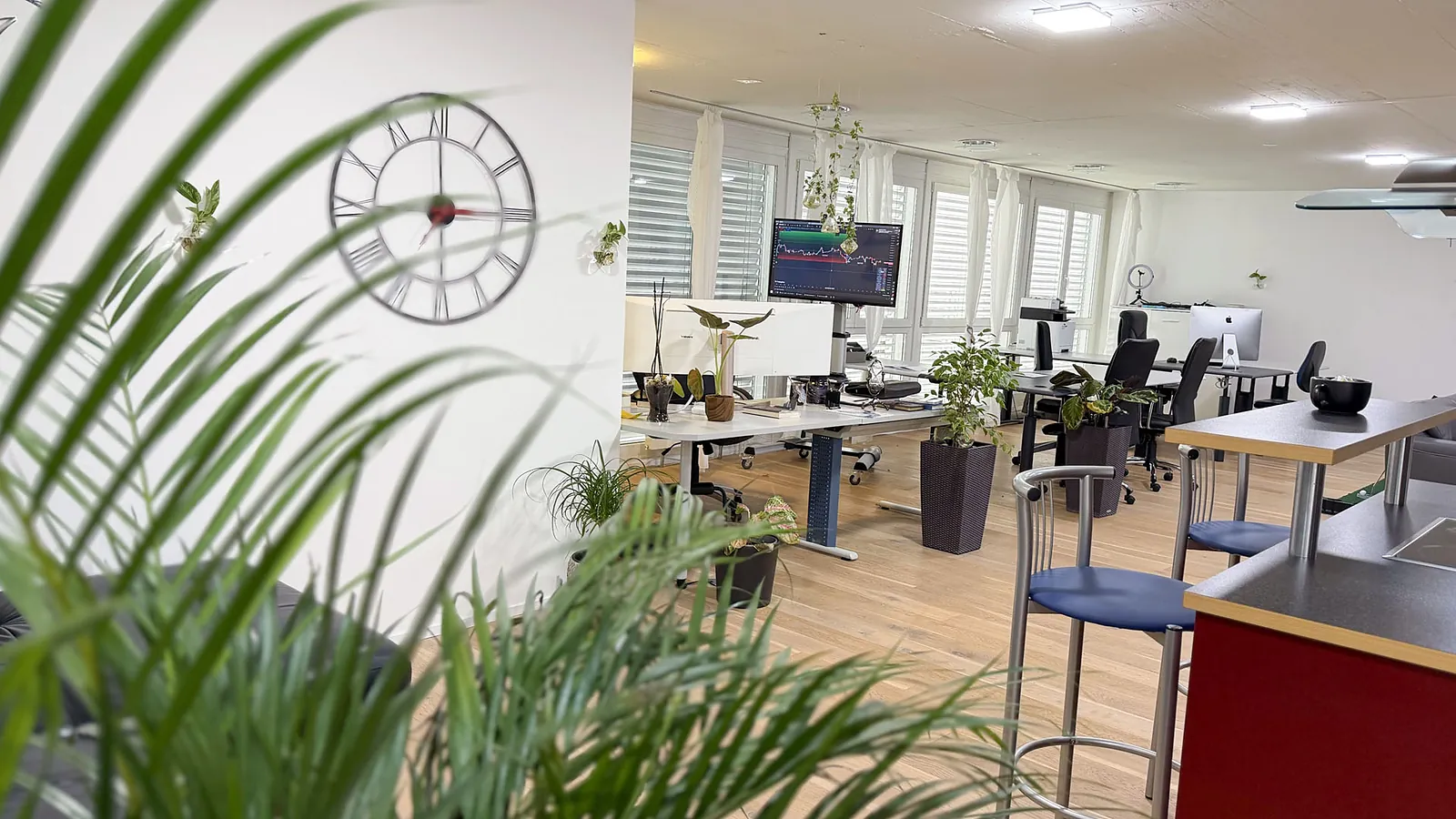 Height-adjustable workstations with monitors in the Webzenz office