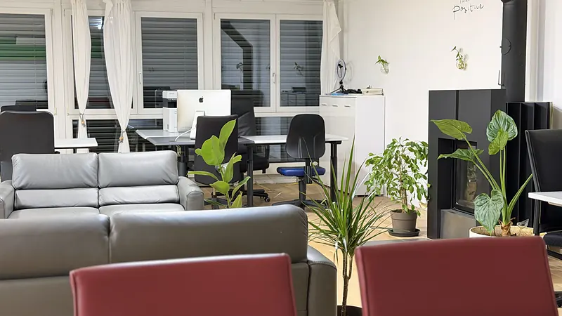 Workstations and plants in the Webzenz office